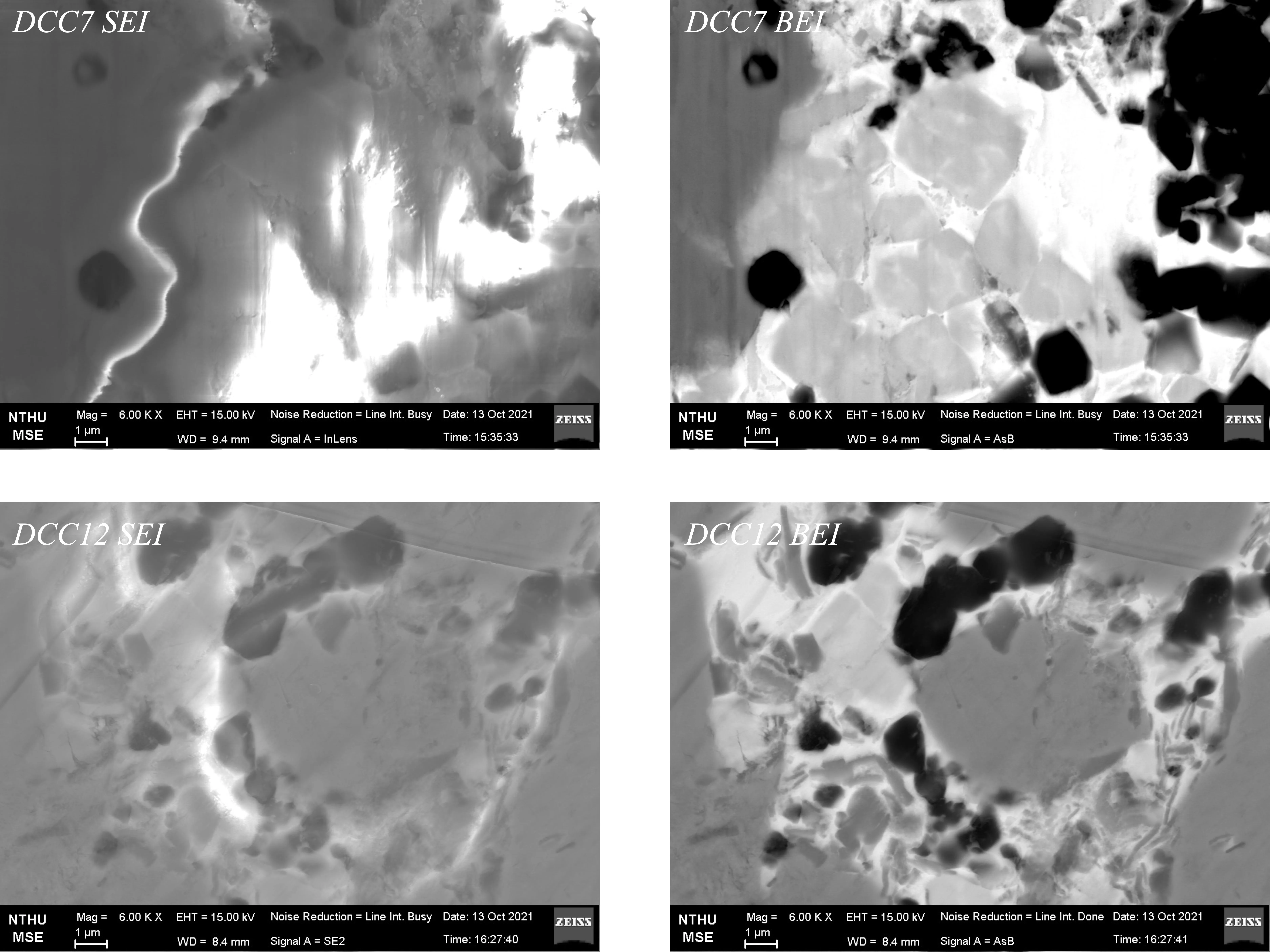 SEM images of samples