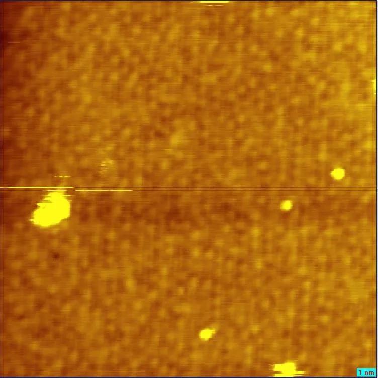 Atomic force image.